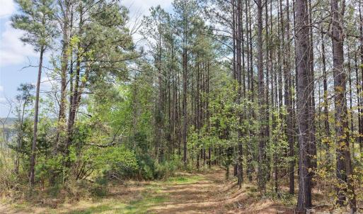 Photo #11 of TBD Spencer Pointe, Lilesville, NC