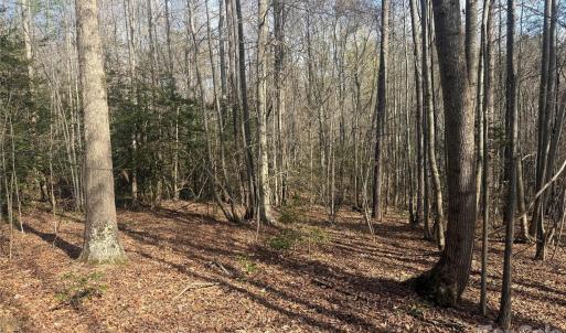 Photo #42 of 1164 Robert C Kellam, Pinnacle, NC