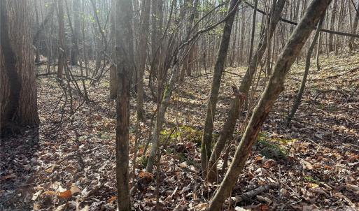 Photo #21 of 1164 Robert C Kellam, Pinnacle, NC