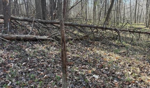 Photo #17 of 1164 Robert C Kellam, Pinnacle, NC