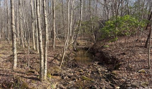 Photo #33 of 1164 Robert C Kellam, Pinnacle, NC