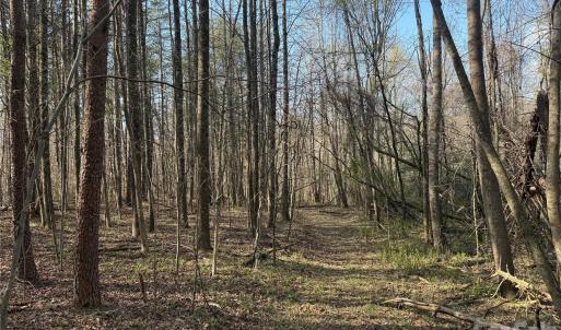 Photo #15 of 1164 Robert C Kellam, Pinnacle, NC