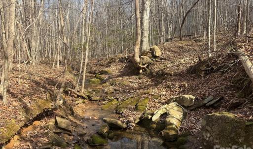 Photo #34 of 1164 Robert C Kellam, Pinnacle, NC