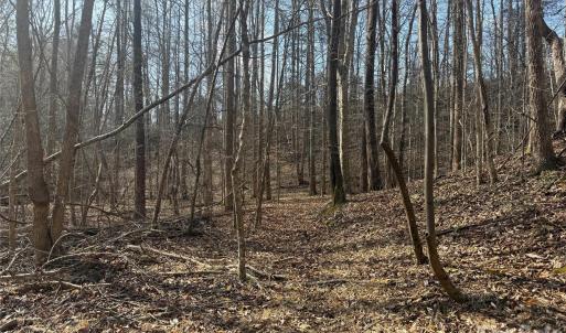 Photo #36 of 1164 Robert C Kellam, Pinnacle, NC