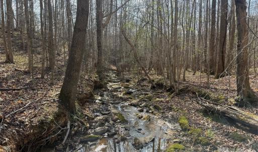 Photo #19 of 1164 Robert C Kellam, Pinnacle, NC