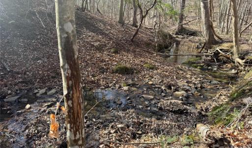 Photo #31 of 1164 Robert C Kellam, Pinnacle, NC