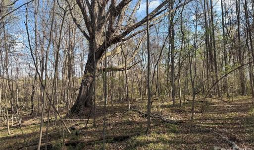 Photo #16 of 1164 Robert C Kellam, Pinnacle, NC