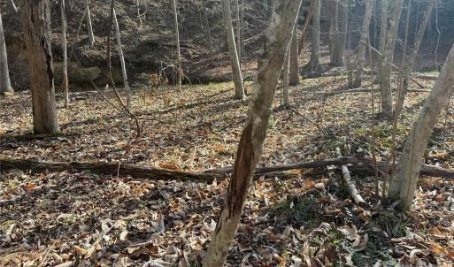 Photo #25 of 1164 Robert C Kellam, Pinnacle, NC