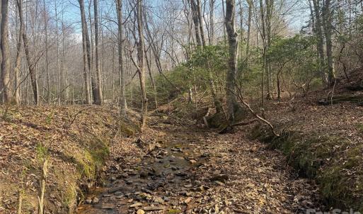 Photo #37 of 1164 Robert C Kellam, Pinnacle, NC