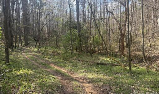 Photo #46 of 1164 Robert C Kellam, Pinnacle, NC