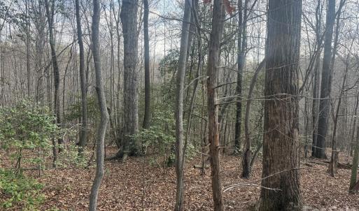 Photo #41 of 1164 Robert C Kellam, Pinnacle, NC