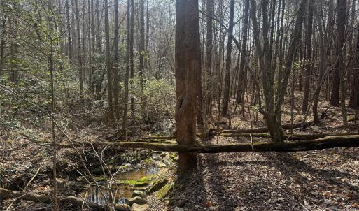 Photo #43 of 1164 Robert C Kellam, Pinnacle, NC