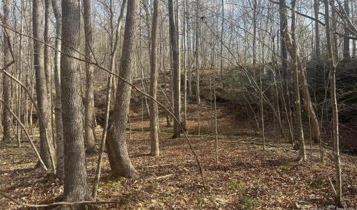 Photo #32 of 1164 Robert C Kellam, Pinnacle, NC