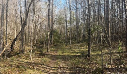 Photo #45 of 1164 Robert C Kellam, Pinnacle, NC