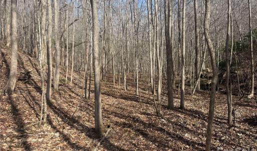 Photo #35 of 1164 Robert C Kellam, Pinnacle, NC