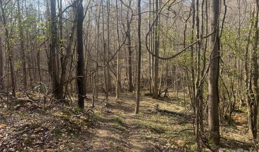 Photo #44 of 1164 Robert C Kellam, Pinnacle, NC