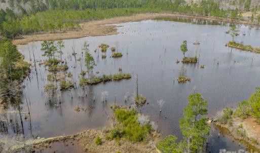 Photo #32 of Lobelia, Vass, NC