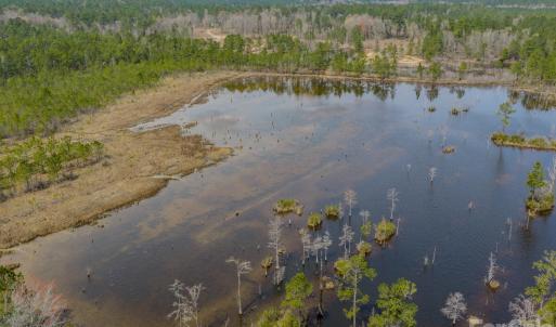 Photo #31 of Lobelia, Vass, NC
