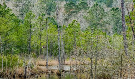 Photo #39 of Lobelia, Vass, NC