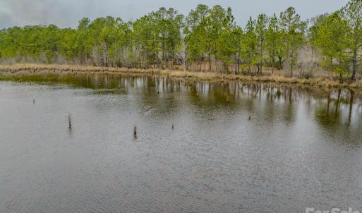Photo #34 of Lobelia, Vass, NC