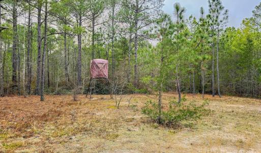 Photo #28 of Lobelia, Vass, NC