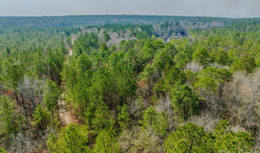 Photo #44 of Lobelia, Vass, NC