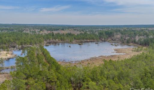 Photo #1 of Lobelia, Vass, NC