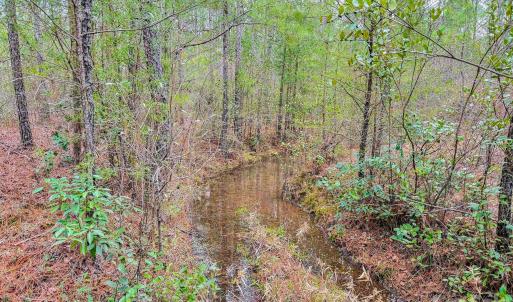 Photo #38 of Lobelia, Vass, NC