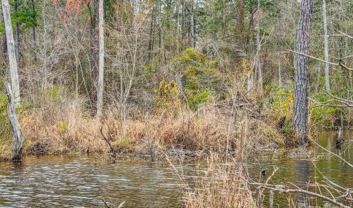 Photo #42 of Lobelia, Vass, NC