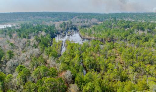 Photo #46 of Lobelia, Vass, NC