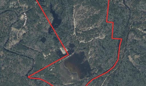 Photo #47 of Lobelia, Vass, NC