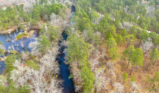 Photo #12 of Lobelia, Vass, NC