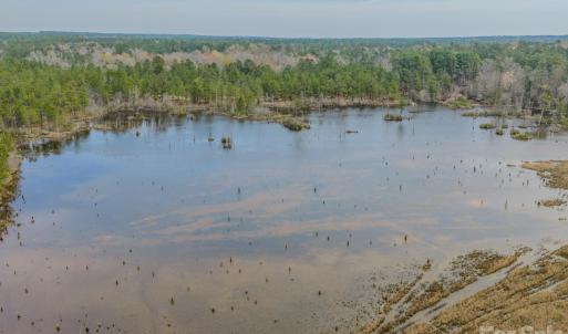Photo #10 of Lobelia, Vass, NC
