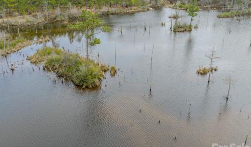Photo #3 of Lobelia, Vass, NC