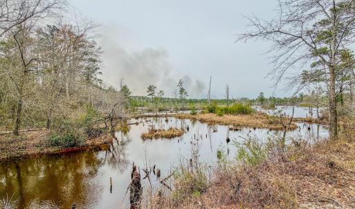 Photo #23 of Lobelia, Vass, NC