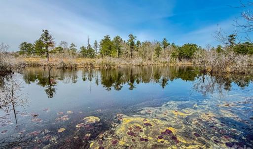 Photo #9 of Lobelia, Vass, NC