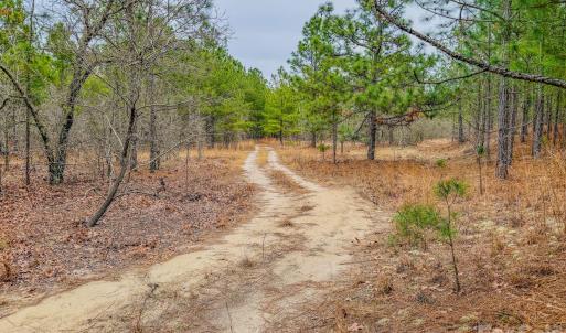 Photo #16 of Lobelia, Vass, NC