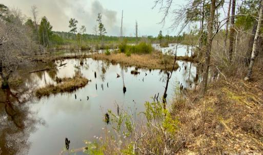 Photo #7 of Lobelia, Vass, NC