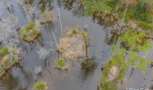 Photo #35 of Lobelia, Vass, NC