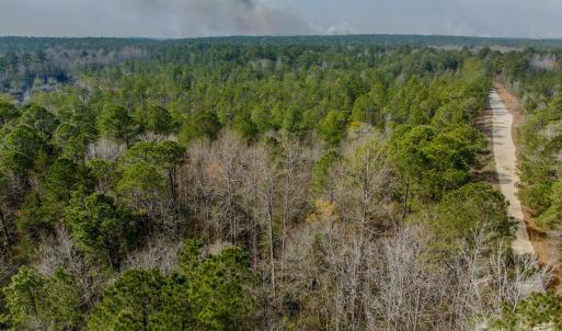 Photo #45 of Lobelia, Vass, NC