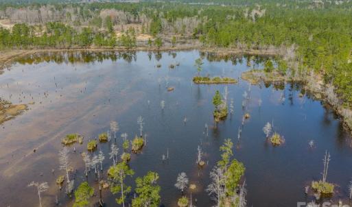 Photo #30 of Lobelia, Vass, NC