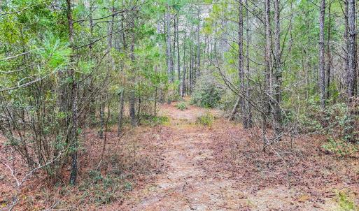 Photo #26 of Lobelia, Vass, NC