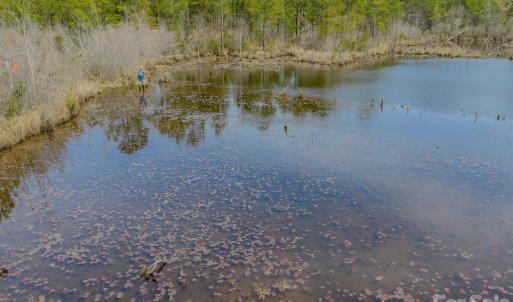 Photo #33 of Lobelia, Vass, NC