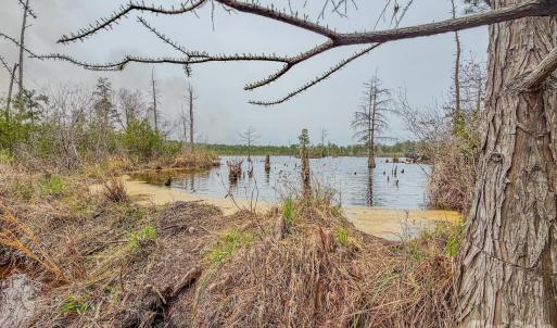 Photo #21 of Lobelia, Vass, NC