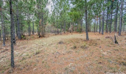 Photo #36 of Lobelia, Vass, NC