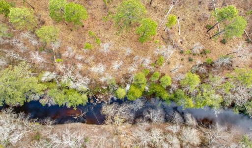 Photo #14 of Lobelia, Vass, NC