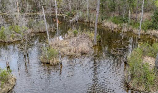 Photo #4 of Lobelia, Vass, NC