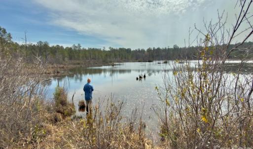 Photo #6 of Lobelia, Vass, NC