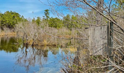 Photo #8 of Lobelia, Vass, NC
