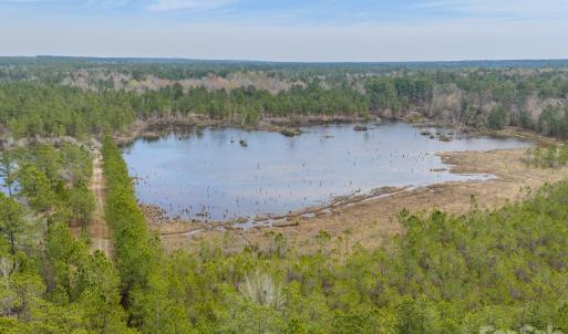 Photo #11 of Lobelia, Vass, NC